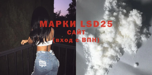 ПСИЛОЦИБИНОВЫЕ ГРИБЫ Вяземский