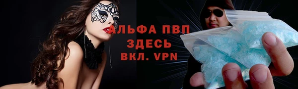 ПСИЛОЦИБИНОВЫЕ ГРИБЫ Вяземский