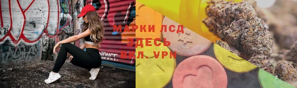 ПСИЛОЦИБИНОВЫЕ ГРИБЫ Вяземский