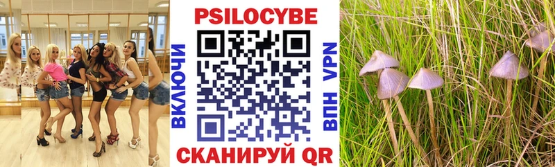 Купить закладки  Пущино  Галлюциногенные грибы Magic Shrooms 